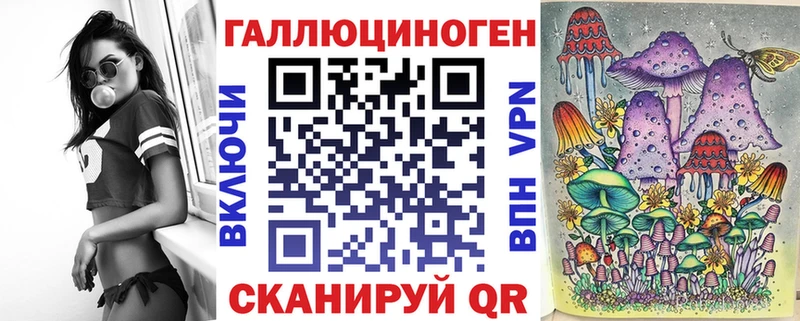 Псилоцибиновые грибы Psilocybine cubensis  Купить где  Курчалой 